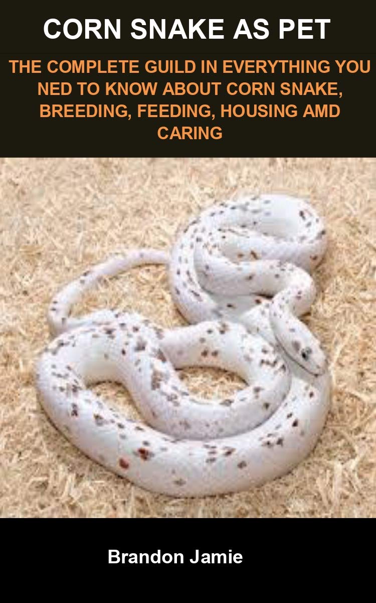 Buy Corn snake as pet: CORN SNAKE AS PET: THE COMPLETE GUILD IN ...