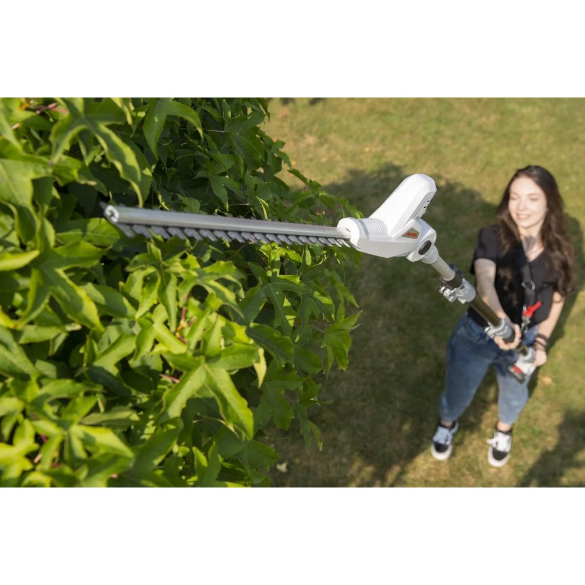 Ikra - Tamaño de seto inalámbrico, 20 V, hoja de 40 cm, batería de litio de 2,0 Ah + cargador de 20 V, palo telescópico hasta 4 m