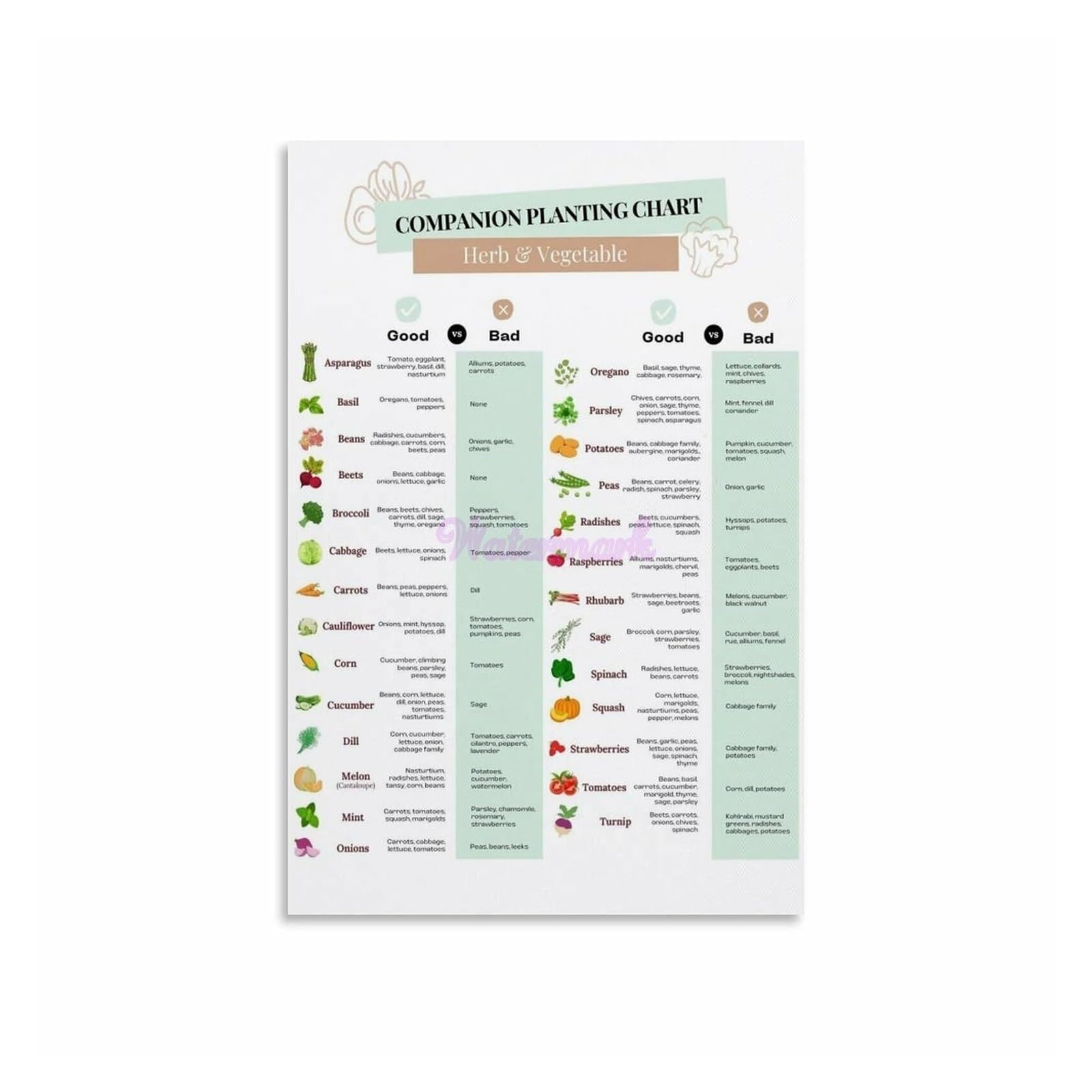 LLBOGRGGN Garden Companion Planting Poster, Canvas Wall-Art Print, Vegetable Planter Guide for Yard, Farmhouse Decor(Framed,08x12inch(20x30cm))