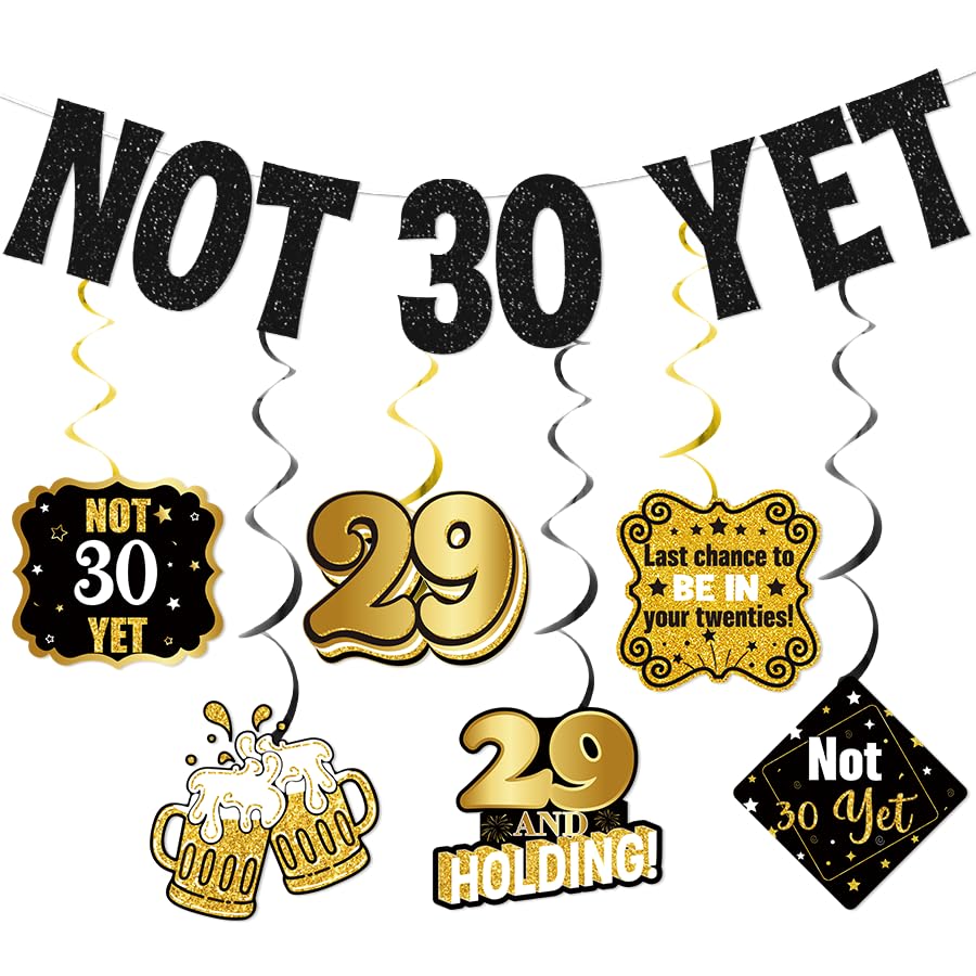 Not 30 Yet Banner Black Glitter with Hanging Swirls 29th Birthday Decorations for Women Men Last Year In My 20s Cheer to 29 Years Funny 29 Birthday Decorations