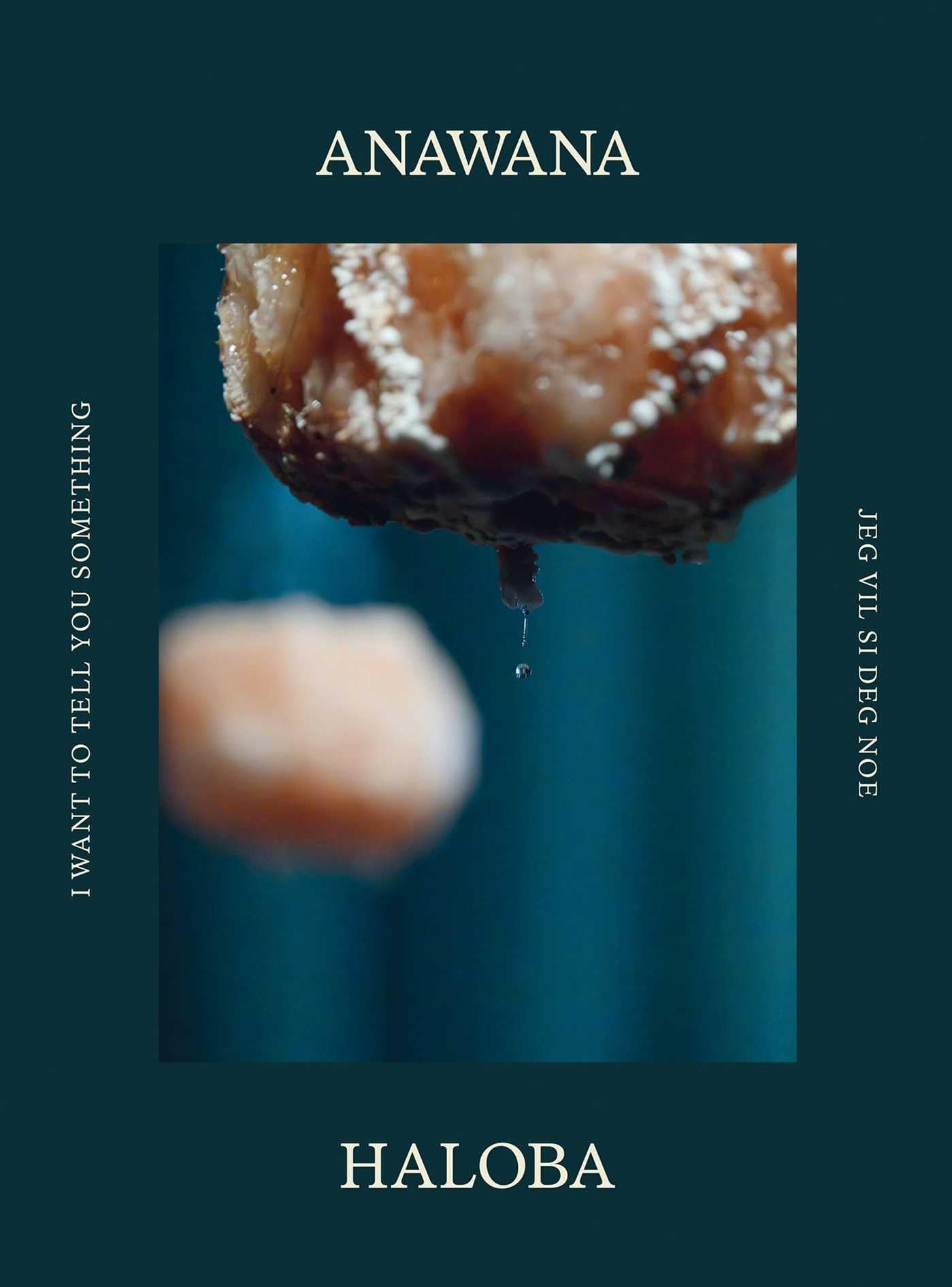 Anawana Haloba I Want to Tell You Something by Andrea Kroksens (Hardback Book)