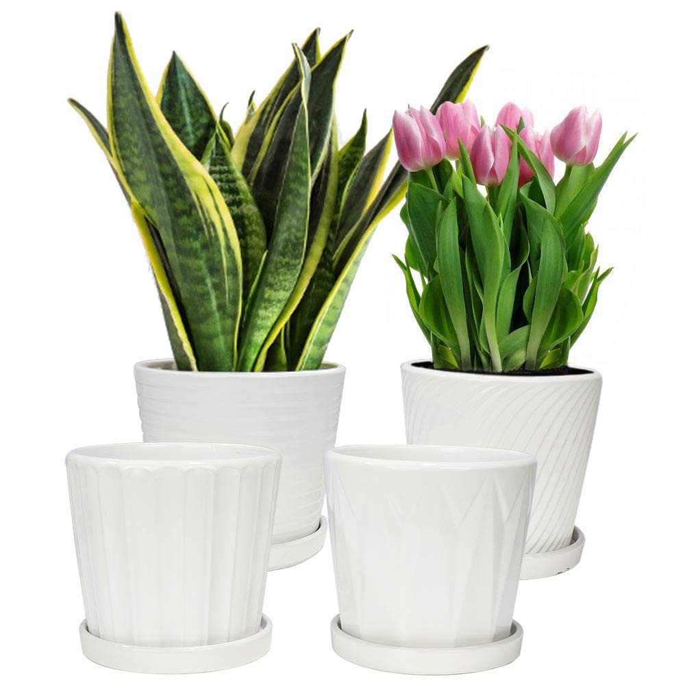 Plants Pots, Haneye 5.5 Inch Ceramic Planters with Connected Saucer and Drinage Hole, 4 Pack White Flower Pots for Succulents Cactus Little Plants