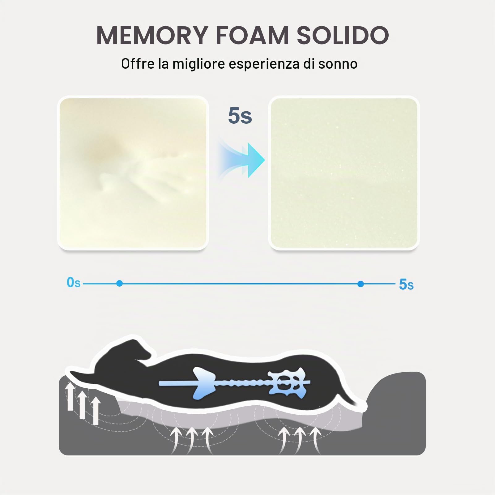 Memory Foam Cuccia Ortopedica per Cani con Copertura Rimovibile e Lavabile JOYELF