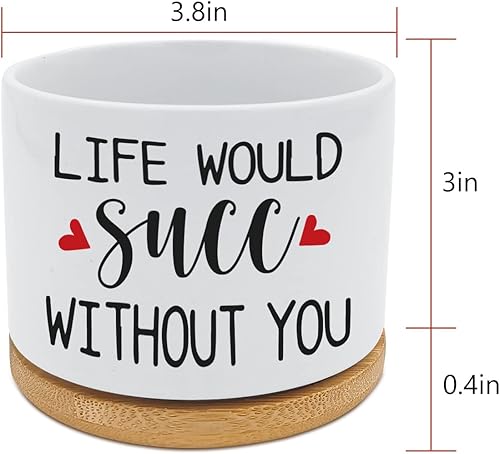 Miniatura 5 de Maceta divertida para suculentas, Life Would SUCC Without You, maceta de cerámica blanca, mini maceta para escritorio de oficina, decoración del