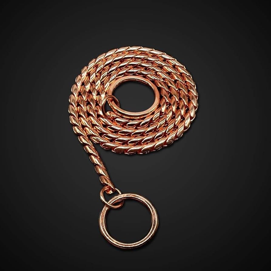 Amazon | 犬の首輪 犬用チョーカースネークチェーン犬の