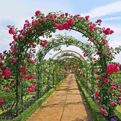 Treillis en métal robuste pour tuteurer vos plantes grimpantes - 5