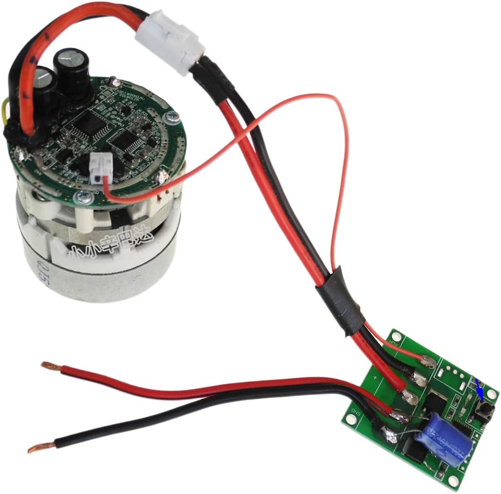 Davitu DC Motor - Micro motor for cordless vacuum cleaner DC18V250W three-phase brushless fan DIY car vacuum cleaner