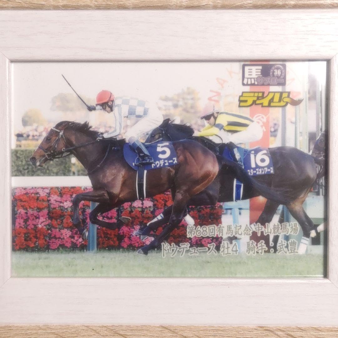 Amazon.co.jp: ドウデュース 有馬記念レース写真パネル デイリー