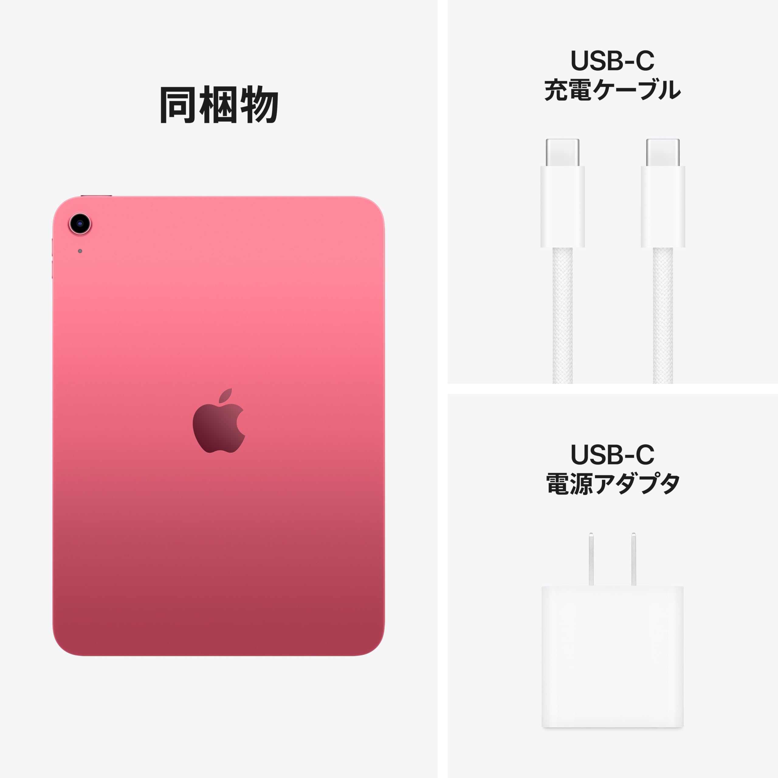 Apple 11 Inch iPad (A16): 11 Inch Model, Liquid Retina Display