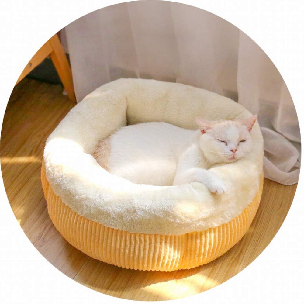 Maison pour chat semi-fermée MU - Coussin universel quatre saisons pour petit chien