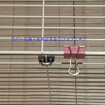 61j2fcGsXdL._UF350,350_QL80_.jpg