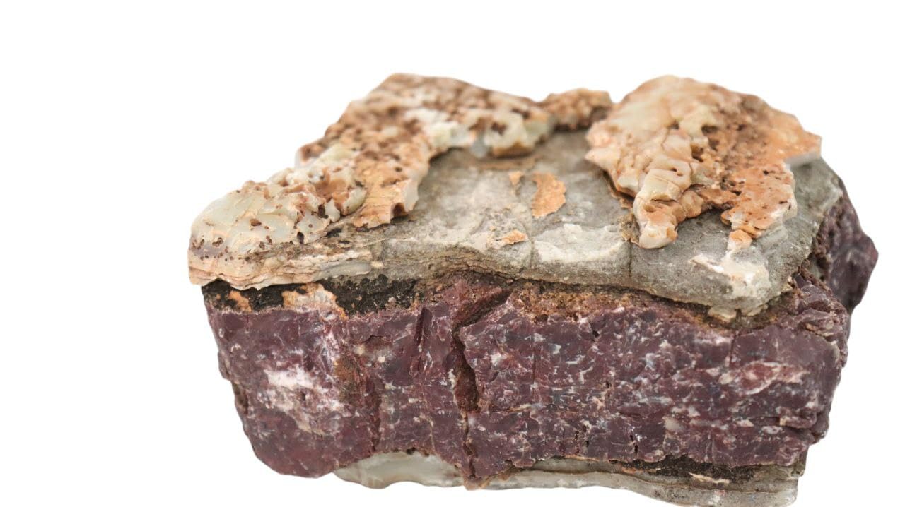 Congo Rocks for Aquariums, Natural Lava Rocks, Unique Decor for Fish Tanks (1.2, Kilograms) (B0DFHJ34SY) Amazon Price History, Amazon Price Tracker