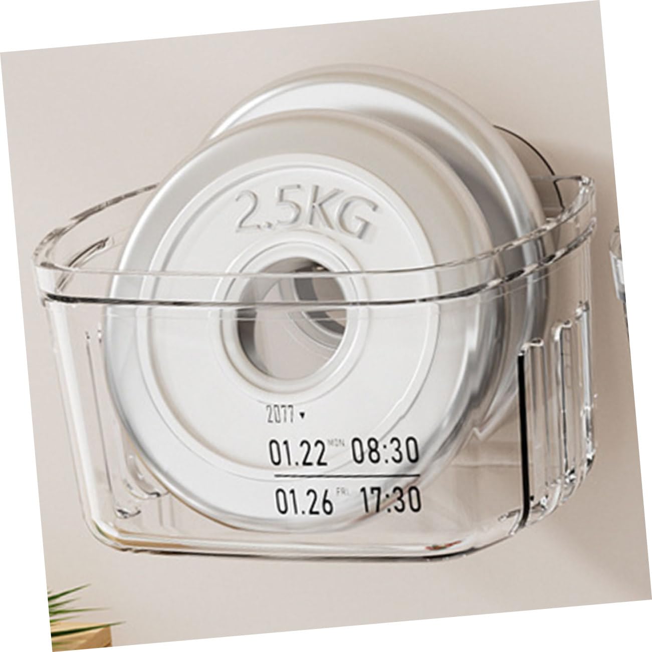 Alipis 8stücke Wandhängender Aufbewahrungskorb Für Zwiebeln Und Knoblauch Transparente Küchenorganizer Für Gewürze Obst Und Lösung Platzersparnis Küche