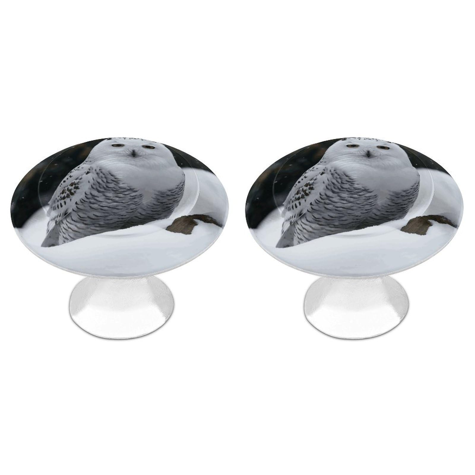 FekiLoot Snow Owl Cabinet Knob 2 Pack Mini Round Drawer Pulls Stainless Steel Dresser Drawer Knobs Kitchen Drawer Hardware for Bathroom Dresser Closet Door Knobs