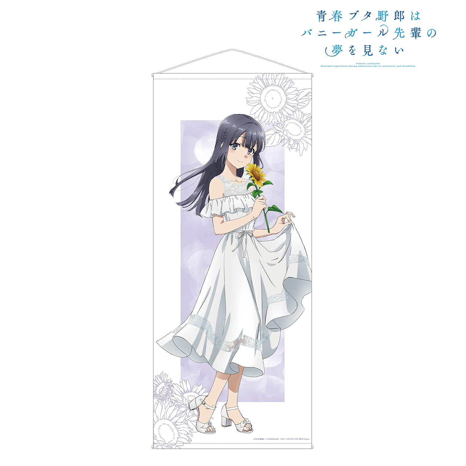 Amazon.co.jp: 青春ブタ野郎はバニーガール先輩の夢を見ない 描き