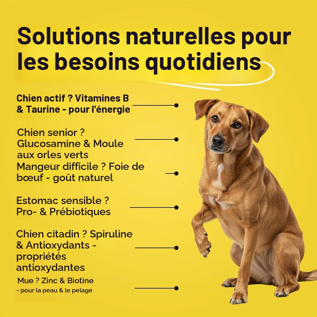 Canine Booster – Complément pour Chiens Adultes avec Moule Verte, Curcuma et probiotiques – Améliore mobilité, Digestion, Peau, Pelage, renforce l’immunité et Plus Encore
