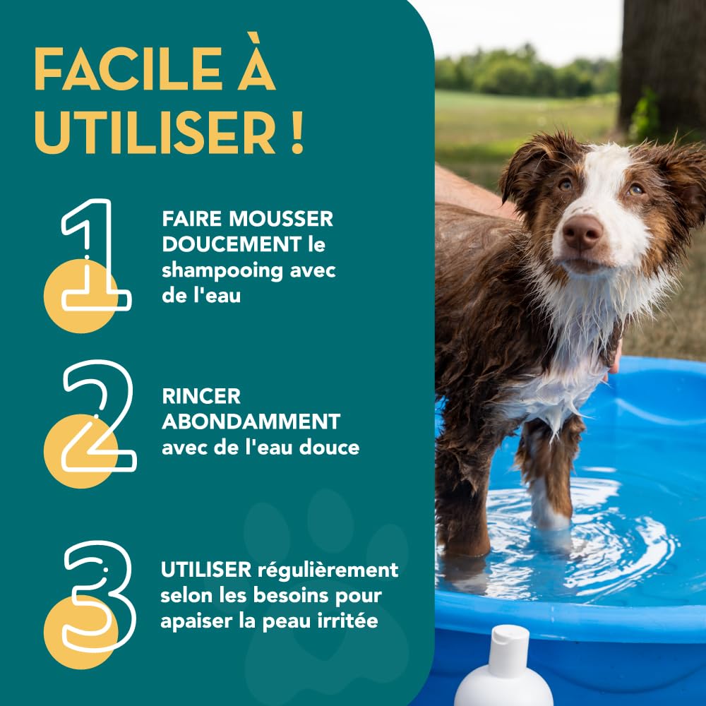 Shampooing Antipuces 100% Naturel | Citronnelle | Le Meilleur Traitement pour Chiens & Chats | Formule Efficace & sans Danger | Tue et Combat Les Puces Tiques & Poux