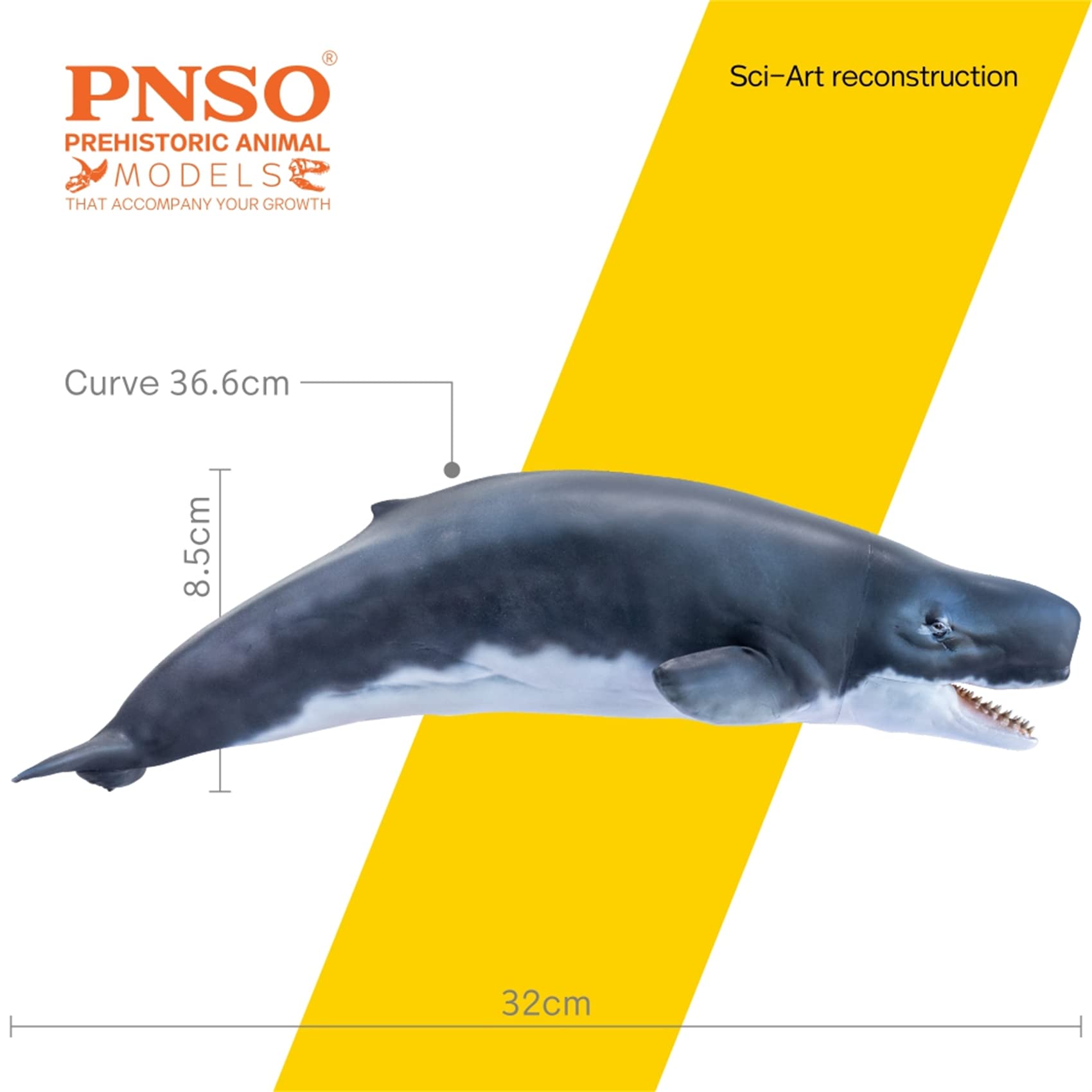 Lana Toys PNSO Livyatan Requena Figure Realistic Prehistoric Sperm