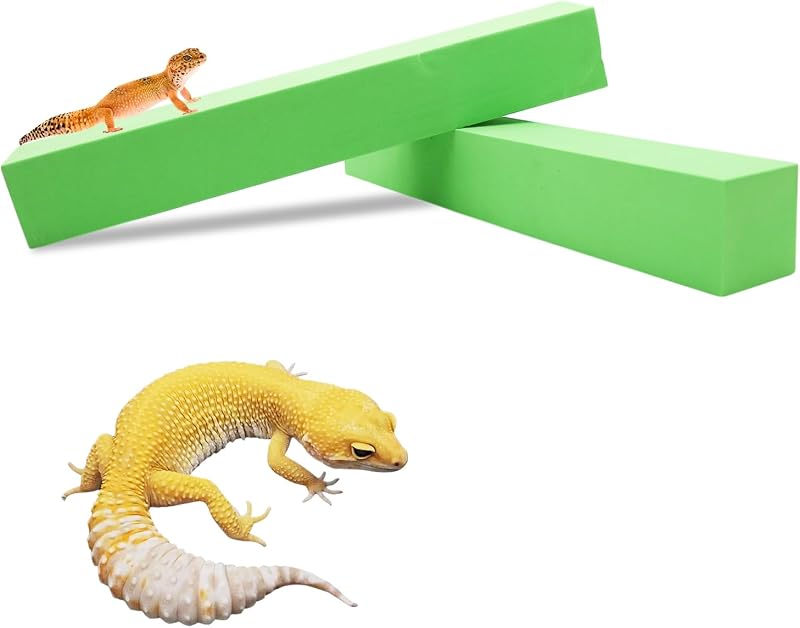 Galhos de Escalada para Terrário em Espuma Texturizada MinrzPet XYPPB, Pacote com 2