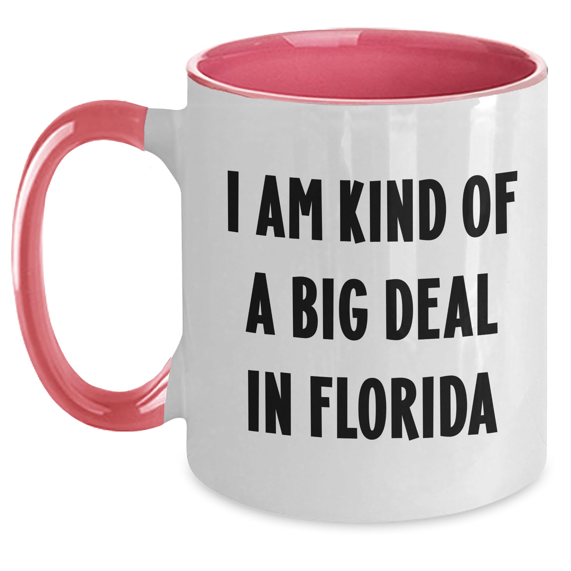 I Am Kind Of A Big Deal In Florida - Funny Two Tone Coffee Mug Gifts for Mom from Son or D — funny ceramic mug from ShopProudGifts