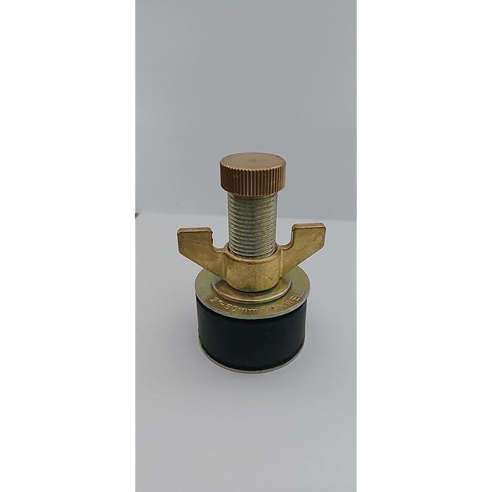 Buy MAXWELL Drain Test Plug 2 Inch (50 Mm) With Brass Cap And Brass Wing Nut Online at