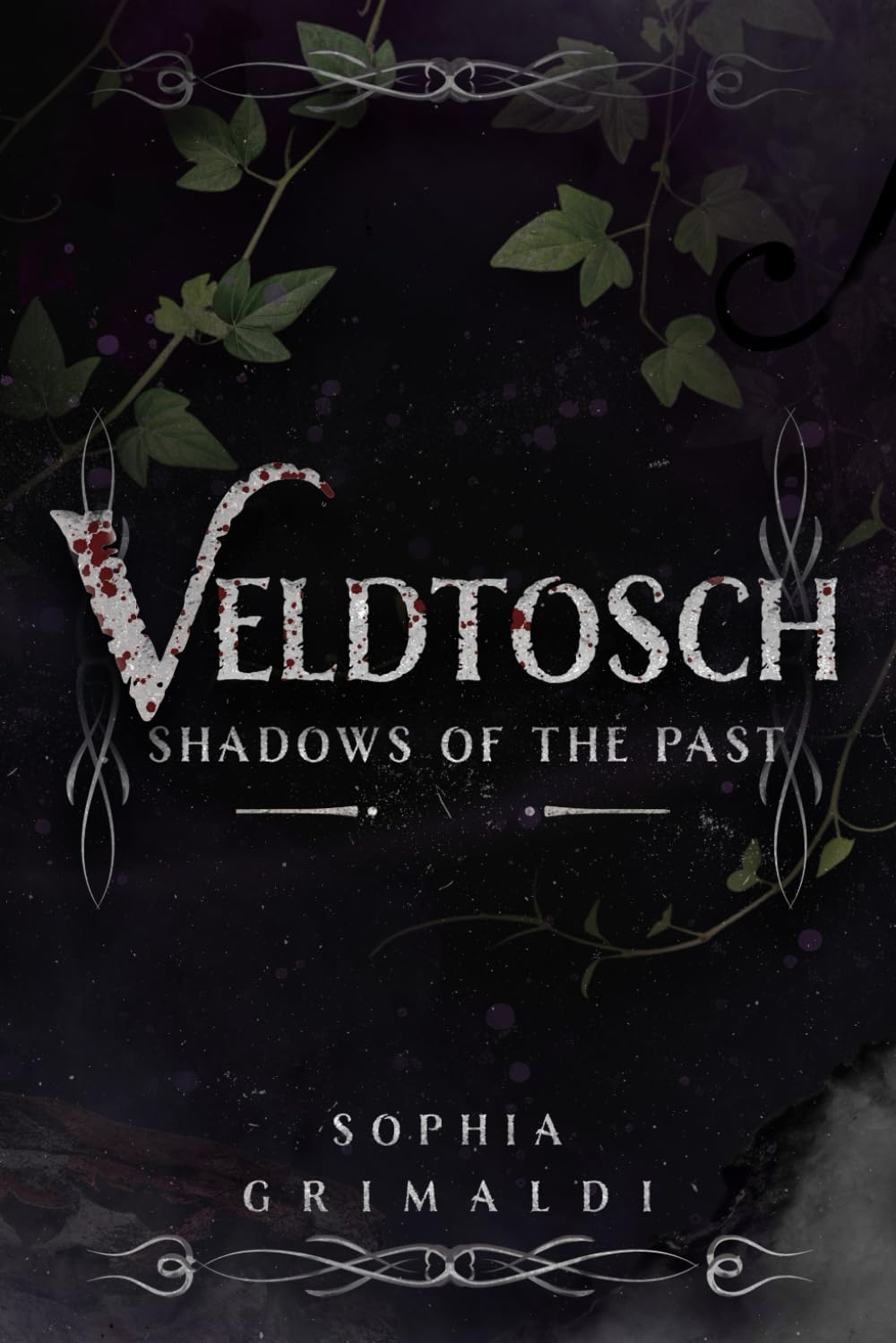 Veldtosch: -Shadows Of the Past      Paperback – December 16, 2025