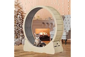 Cat Treadmill Roller