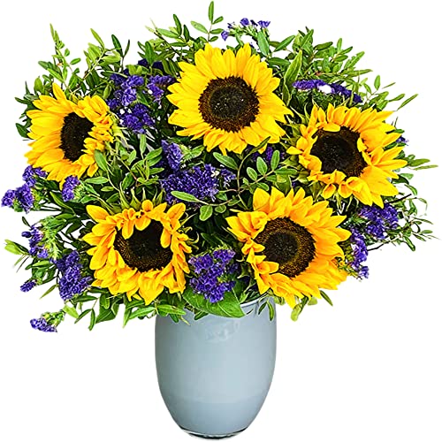 Amazon.co.uk Best Sellers The most popular items in Featured Categories