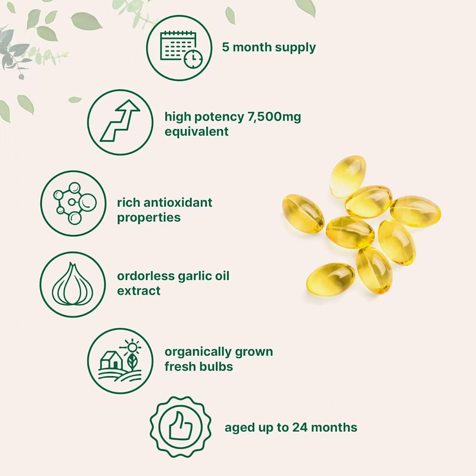 Vitaris Estratto di Aglio Invecchiato, 300 Conteggio Vitaris Aglio Invecchiato 24 Mesi, Ingredienti naturali, per Uomini e Donne