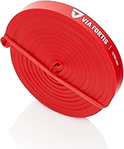 VIA FORTIS Premium Resistance Bands + Exercise Instructions & Bag - Resistance Bands/Pull Up Bands & Pull Up Aids/Fitness Bands/Fitness & Bodybuilding Training Bands