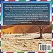 The Big Book of Namibia Facts: An Educational Country Travel Picture Book for Kids about History, Destination Places, Animals, and Many More
