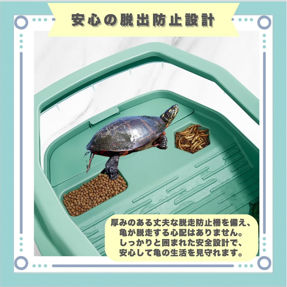 Amazon | ideastore 亀 水槽 亀水槽 飼育ケース カメ かめ 陸地
