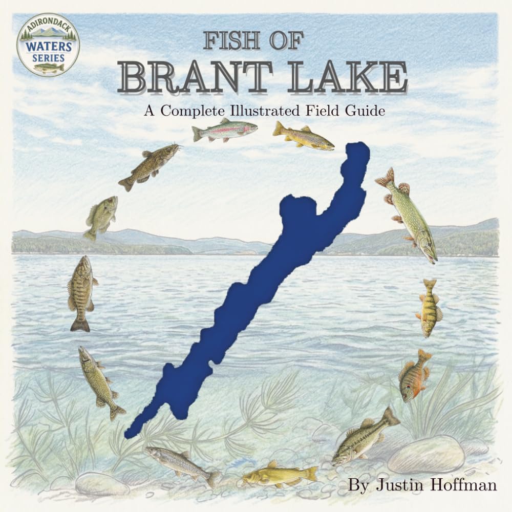 Fish of Brant Lake: A Complete Illustrated Field Guide (Adirondack Waters Series: Visual Field Guides for Junior Anglers)