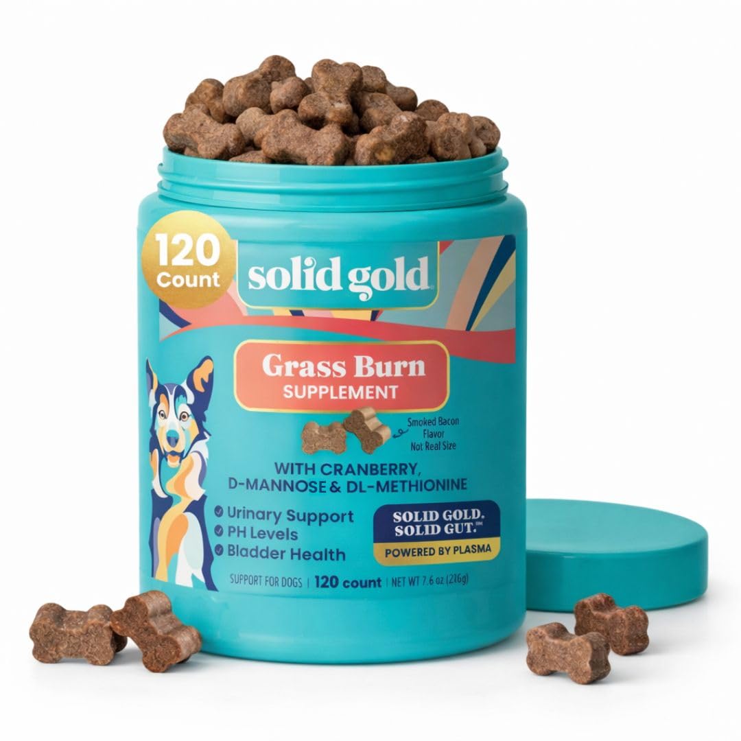 Dog Pee Grass Repair Chews - Dog Urine Neutralizer for Lawn w/Urinary Tract, Kidney, Bladder & pH Support to Reduce Grass Pee Spots & Burn - Pet Urine Neutralizer Treats - Bacon - 120ct