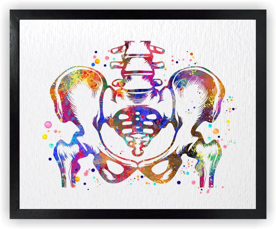 Dignovel Studios 11X14 Unframed Pelvis and Vertebrae Sacrum Hip Anatomy Watercolor Art Print Poster Orthopedic Skeletal System Spine Chiropractic Wall Hanging Decor DN888