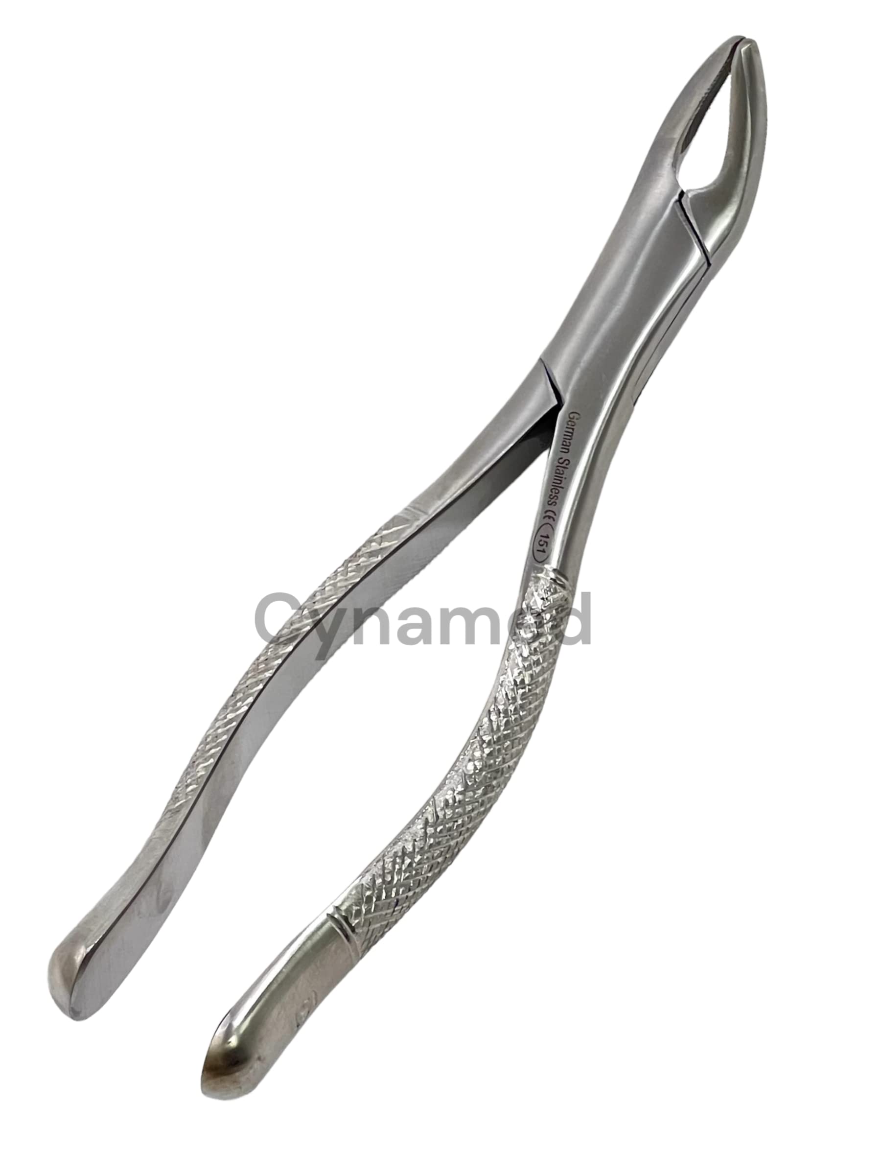 Amazon.com: German Stainless Steel EXTRACTING Forceps #151 Dental