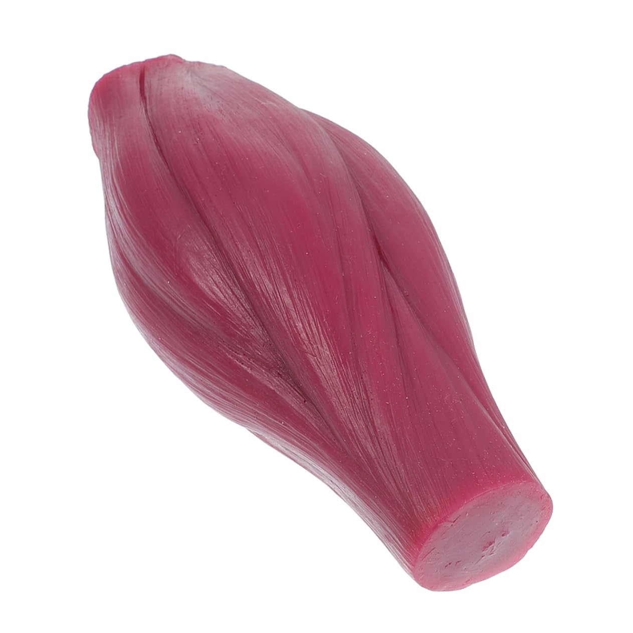 Hemobllo Modèle Musculaire Éducatif En Silicone 1 Livre Socle, Modèle Anatomique Du Corps Humain Réaliste Pour Enseignement Et Affichage Scientifique