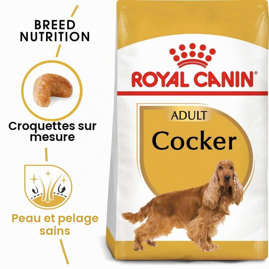 Royal Canin Cocker Adult - sac de 12 kg/Croquettes pour chien Cocker adulte