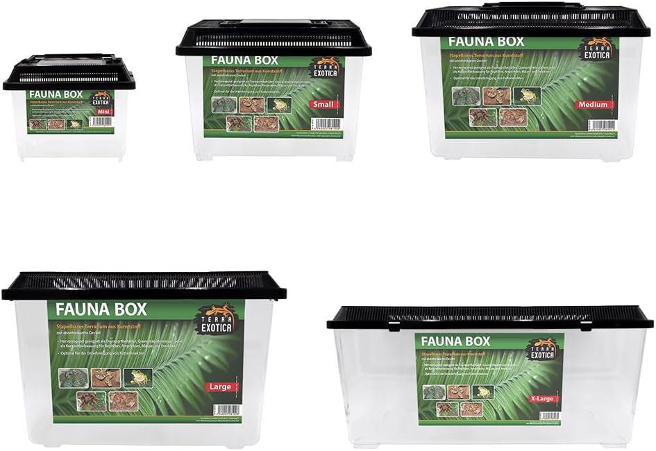 Terra Exotica Fauna Box In 5 Gr en Erh ltlich small 23 X 15 X 16 5 Cm terra-exotica-fauna-box-in-5-gr-en-erh-ltlich-small-23-x-15-x-16-5-cm