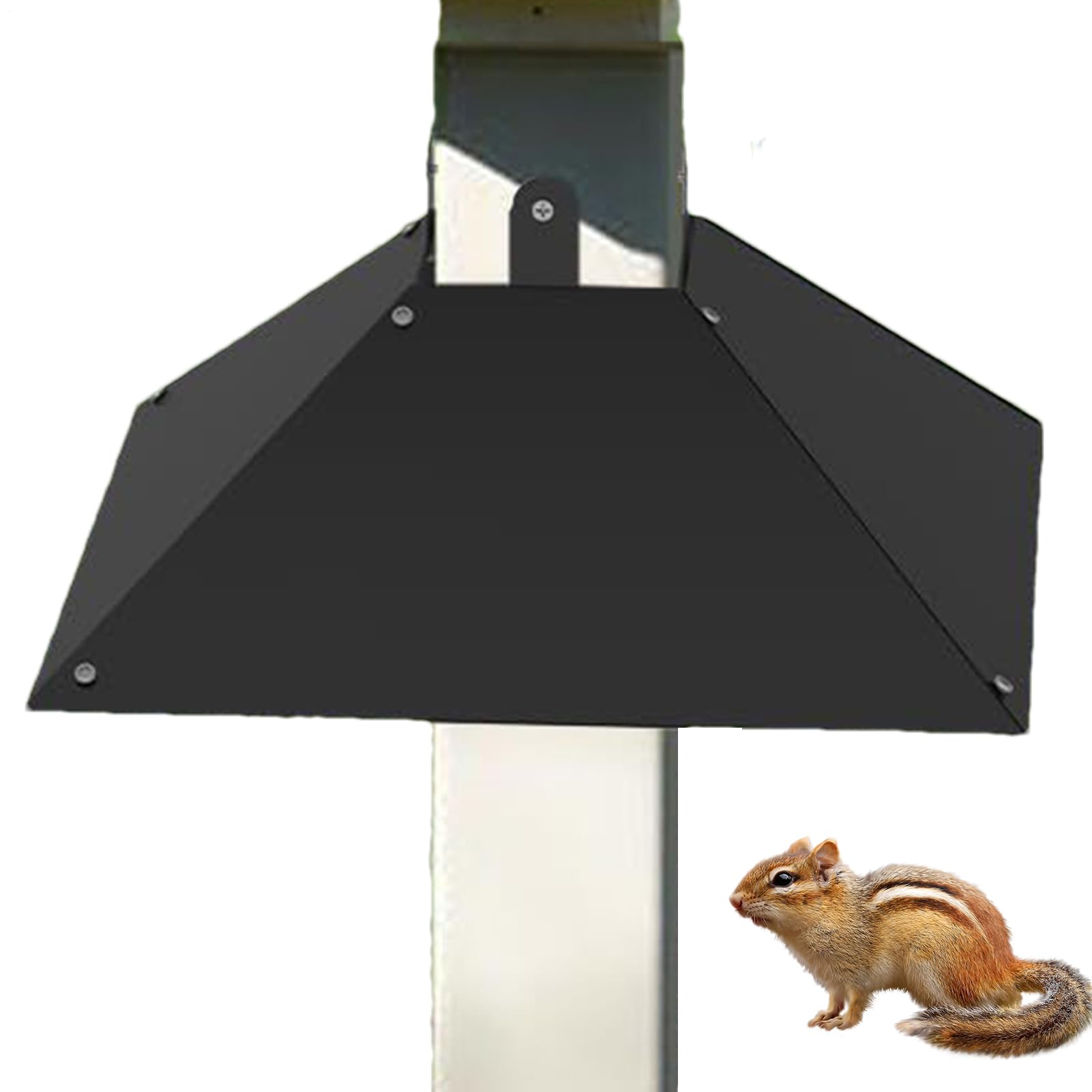 Perbes di scoiattolo per di alimentazione degli, parata di mangiatoie per per il | 4x4 Post mangiatore di Bafflel Squirrel | da giardino con pali in legno