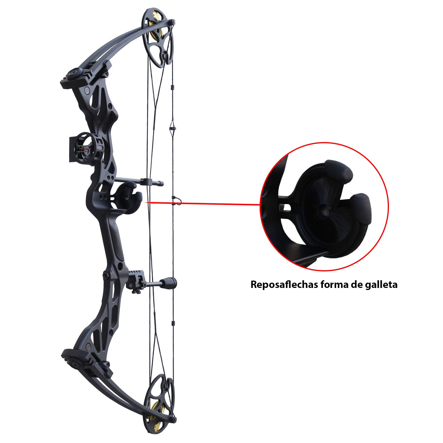 KIT - Arco composto da carrucole Hellbow Fossil regolabili da 30 a 70 LBS e un'apertura da 25 a 31", arco nero destro con molteplici accessori.