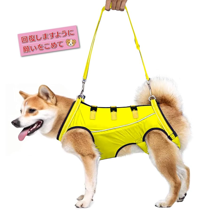 Amazon | [DIOSARK] 犬 サポートハーネス 歩行補助 胴輪