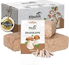 The original - burgundy mushrooms forest garden culture to grow yourself - easy-to-harvest fresh mushrooms
