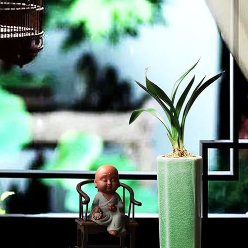 Miniatura 3 de CYMUS ZenMoon - Plantas de interior vivas purificadoras de aire con maceta mini de fácil cuidado y flores grandes