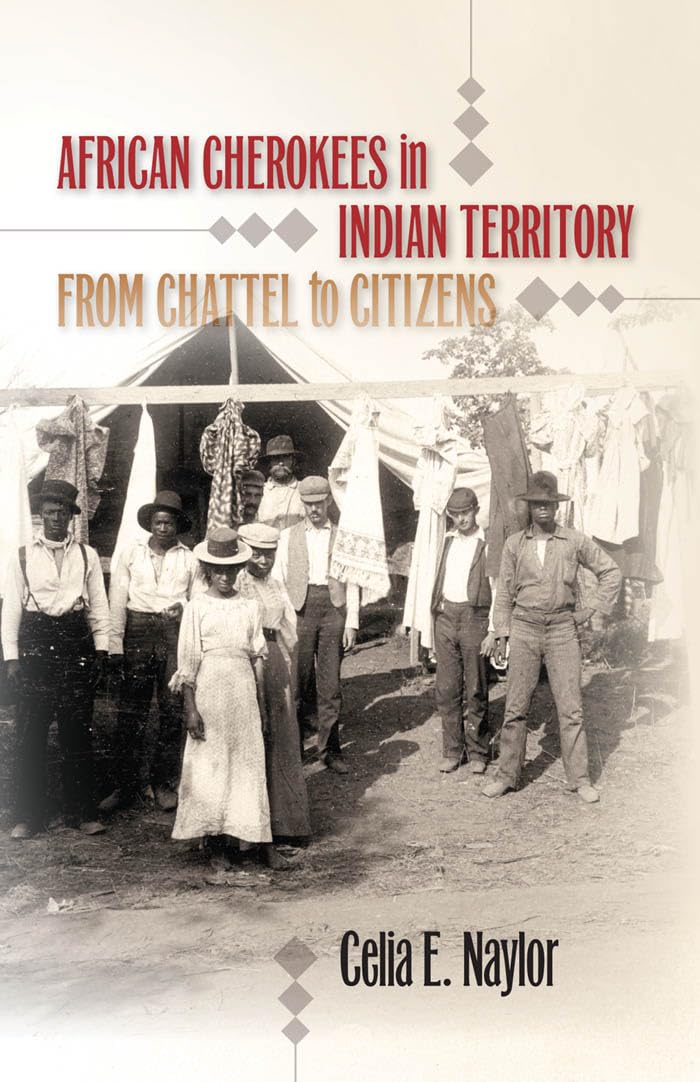 African Cherokees in Indian Territory: From Chattel to Citizens (The John Hope Franklin Series in African American History and Culture)