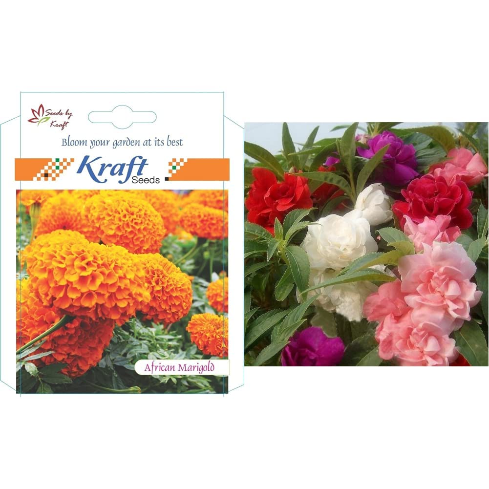 Kraft Seeds African Marigold Flower Seeds (Orange) & Balsam Tom Thumb Mix Flower Seeds for Home and Balcony Gardening with Free 100 Gm Agrope Combo (B087D5Z26Q) Amazon Price History, Amazon Price Tracker
