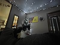 Review Image by Kayla Brown