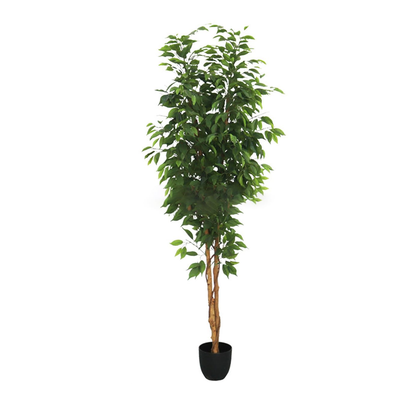Amazon｜手入れのいらない観葉植物 フェイクグリーンに見えず お部屋の 