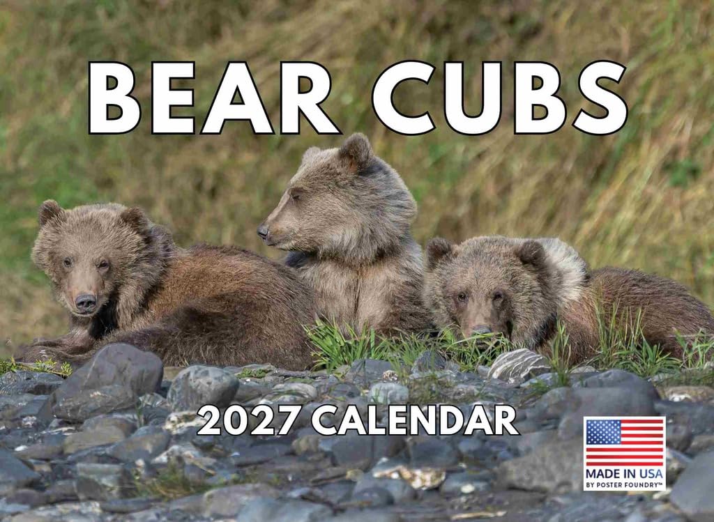Baby Bear Calendar 2025 Monthly Wall Calender | American Made In The USA — image 1