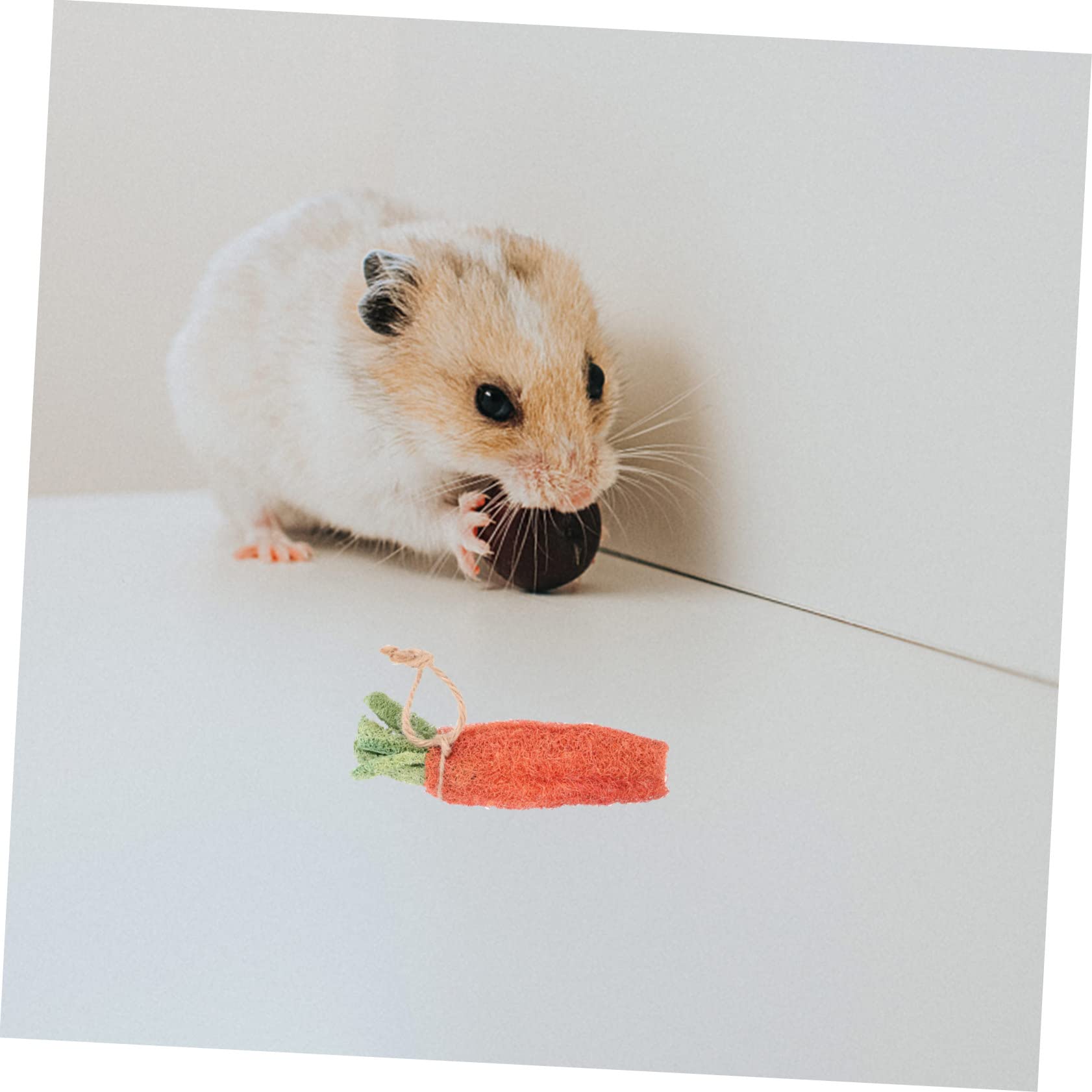 Hohopeti Et Jouets pour Hamsters en Tube Matériau Naturel Petits Jouets Molaires Recherche De Nourriture Soins À Mâcher Couleur Aléatoire